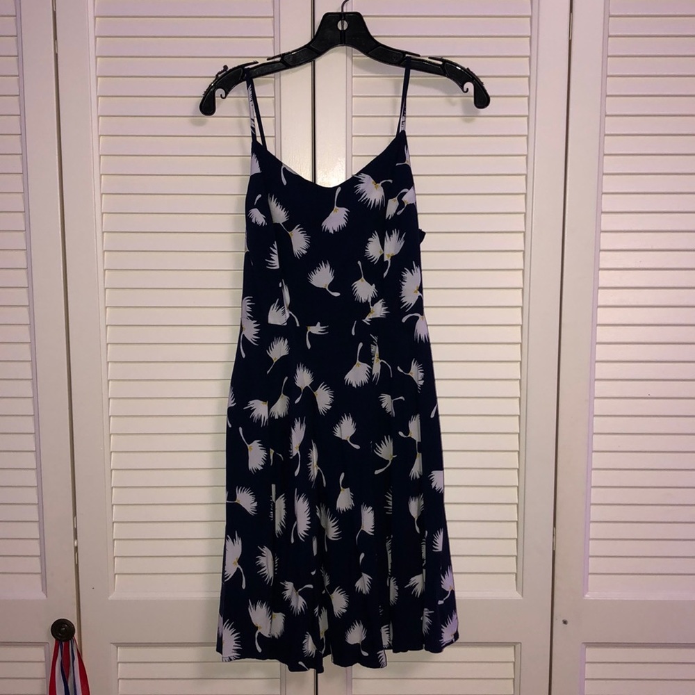 blue/white dress